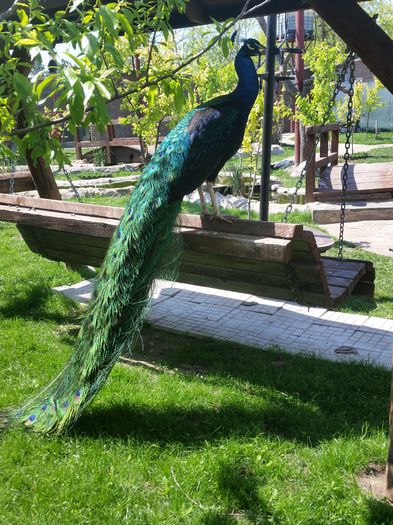 20150508_143219