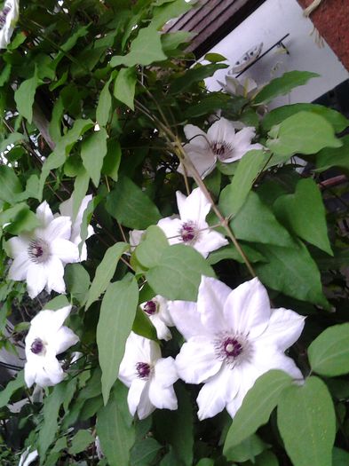 20150507_083105