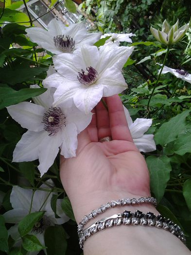 20150507_120213
