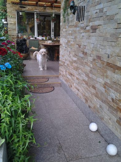 20150508_183959 - mai 2015