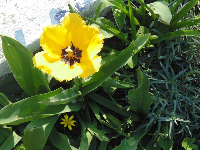 DSC06885 - Copy - Copy