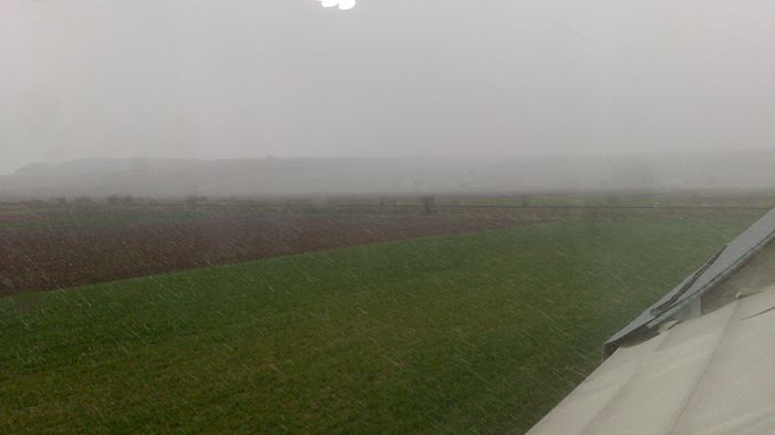 DSC_1332 - Tapiterie auto