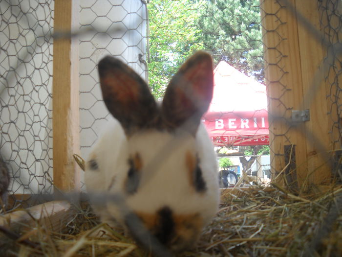 DSCN1136
