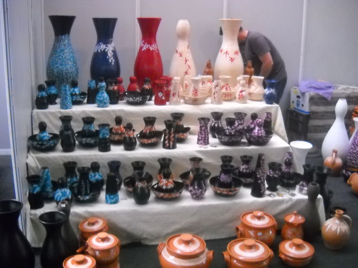 DSCN1210 - EXPO AGRA 2015