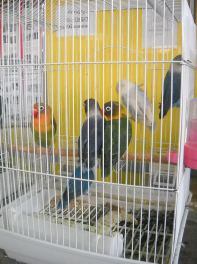 DSCN1228