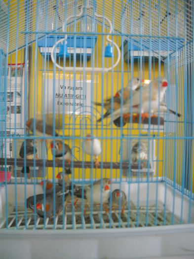 DSCN1230