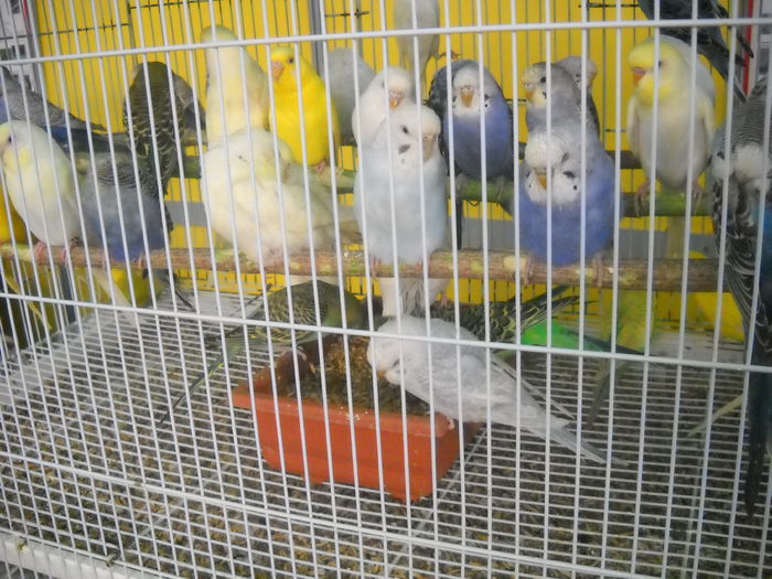 DSCN1231