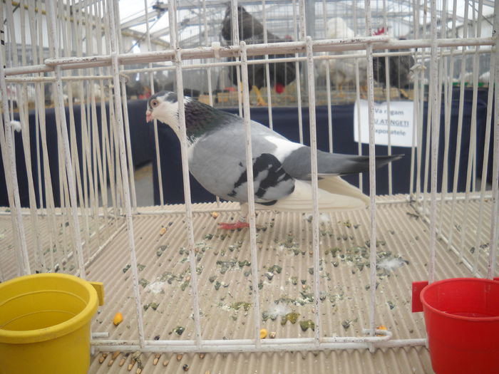 DSCN1263