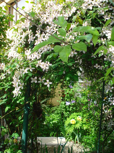 DSC07289