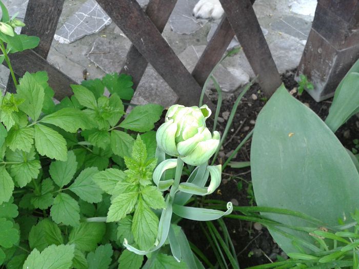 20150503_123253