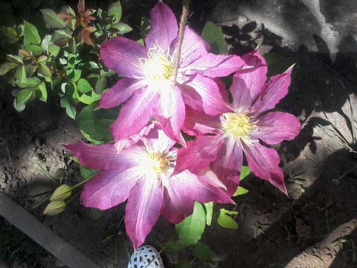 20150509_103447