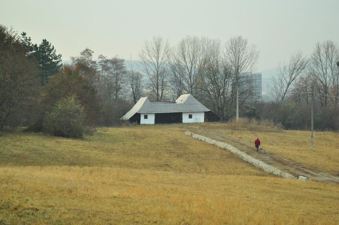 230404_545731495452187_1180411170_n