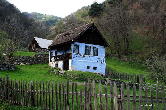 285794_557692380922765_85411780_n