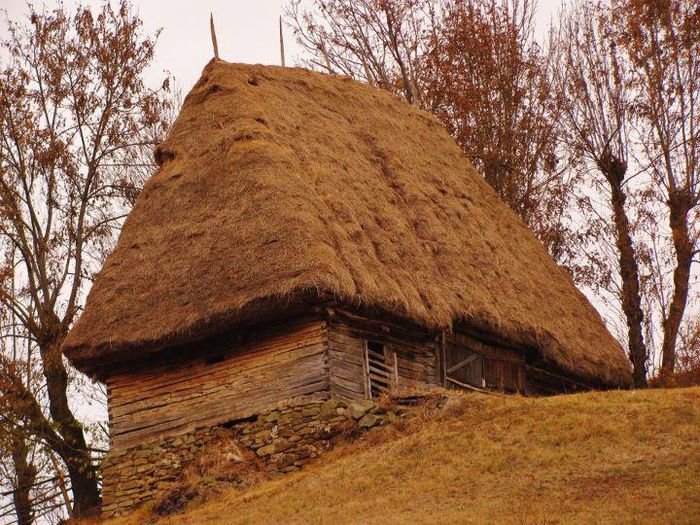 295306_544505385574798_1787091935_n