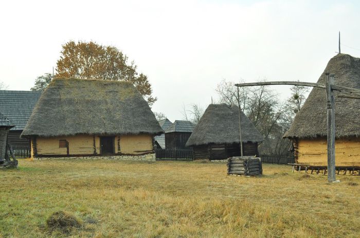 379205_545731428785527_124962037_n