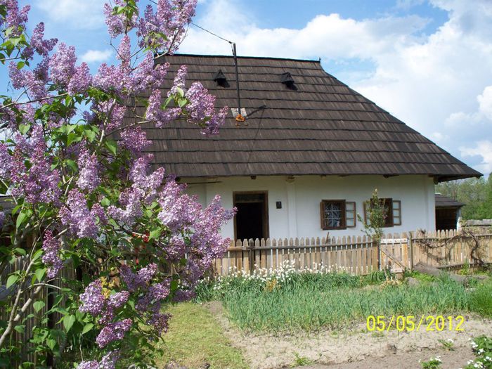 408551_542292172462786_1512142581_n