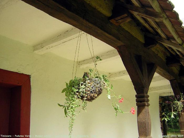 525582_553164568042213_552527083_n