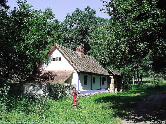 555896_553164534708883_847612622_n - Traditii romanesti