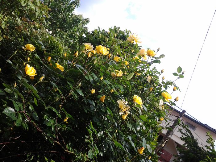 20150509_093958 - mai 2015