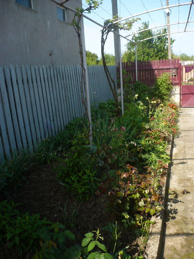P1210977 - GRADINA 2015