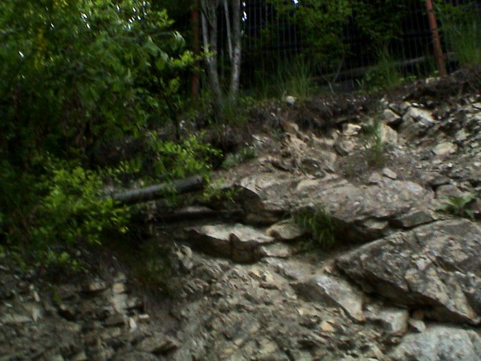 Stancarie - GRADINA MEA IN 2015