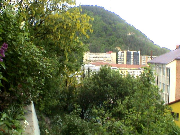 The wild zone! - GRADINA MEA IN 2015