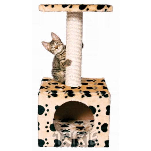Centru de joaca pisici - 5 lei - Hilton PetShop