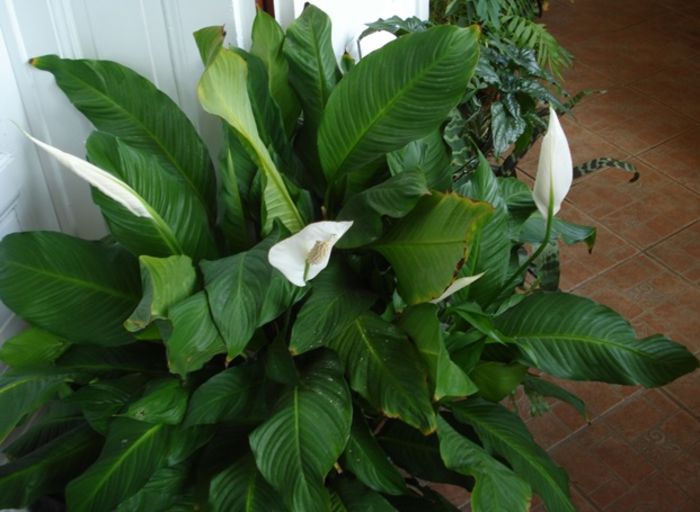 in interior (3) - b 2015 - in interior