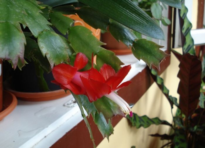 in interior (4) - b 2015 - in interior