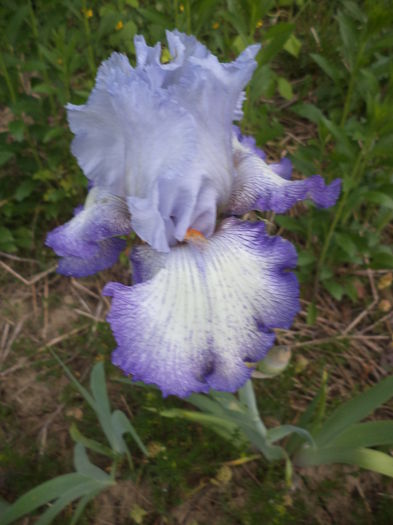 DSC03666 - ANUL 2015