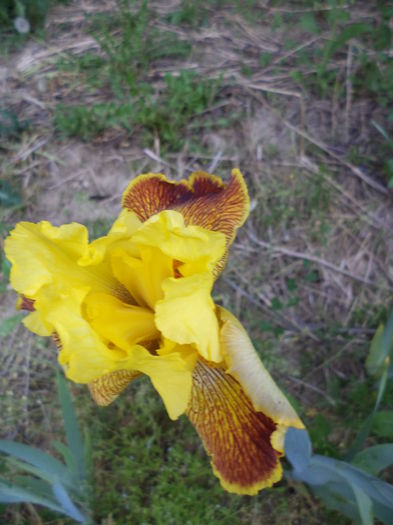 DSC03667 - ANUL 2015