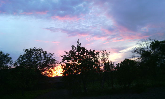 IMG_20150509_204422[1]