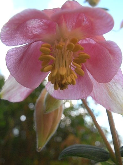 P5070123
