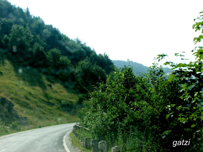 DSCF4796