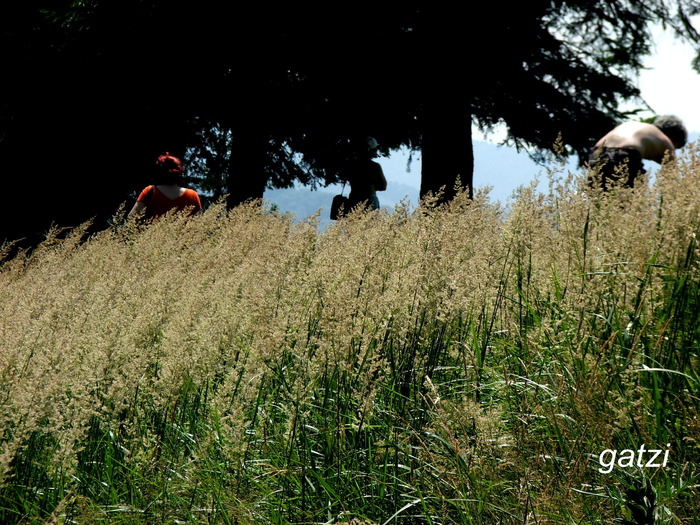 DSCF1717_01 - Niste peisaje