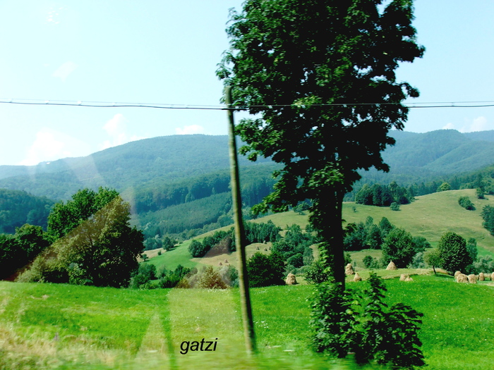 DSCF1962_01 - Niste peisaje