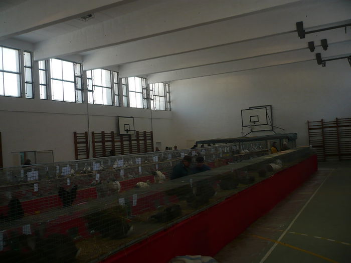 P1050962