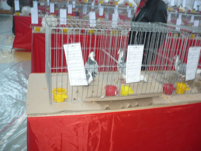 P1060075