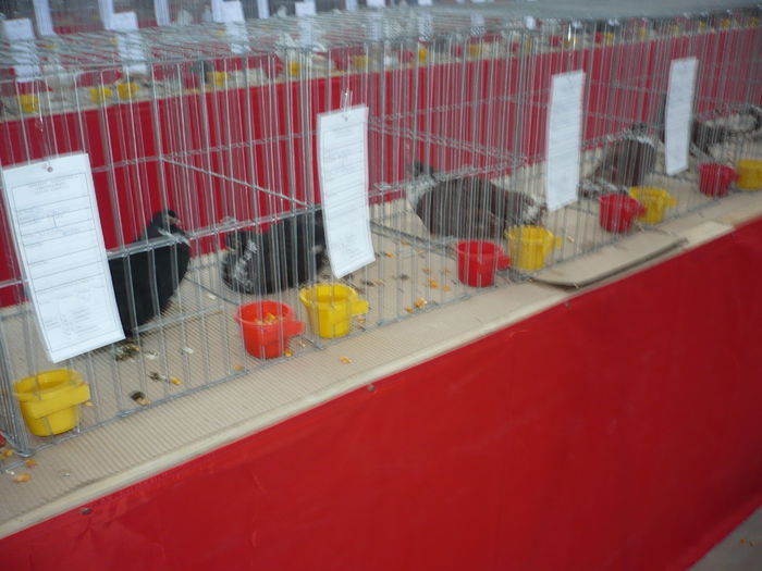 P1060085