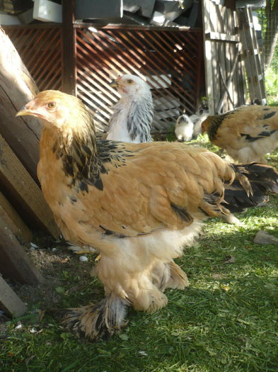 P1200097