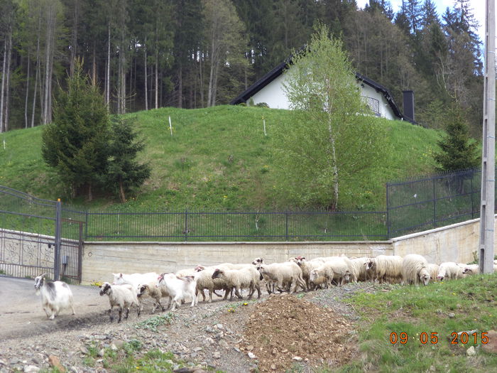Coboram spre Monument aici