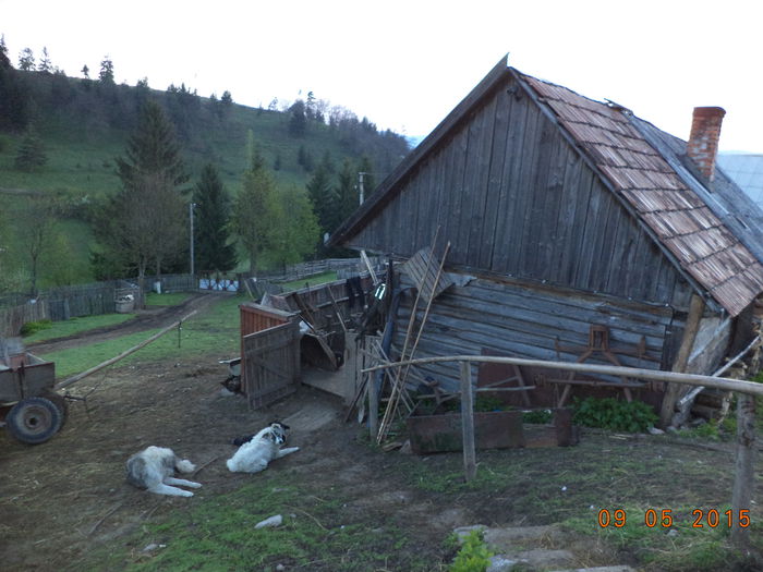 Dimineata inaintea plecarii