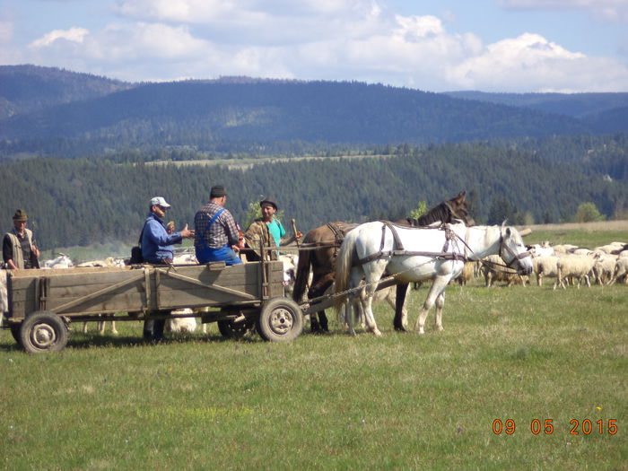 Mai intalnim oameni pe drum - PLECAREA LA MUNTE CU OILE 2015