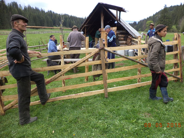 Mesterim in fata stanii