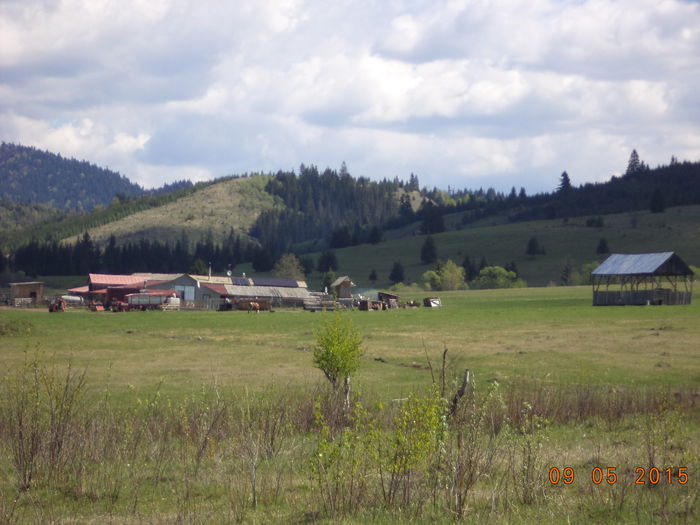 Saivanul si gospodaria lui Avarvarei