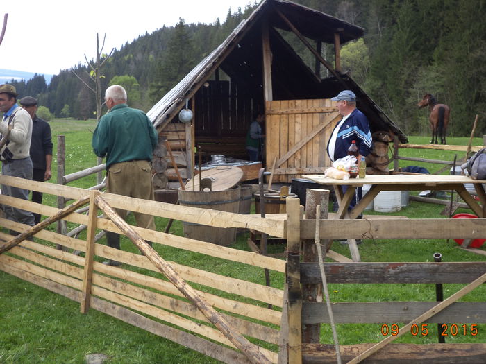 Stana din Poiana Tinoasa-4