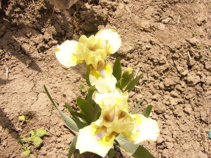 P1230240