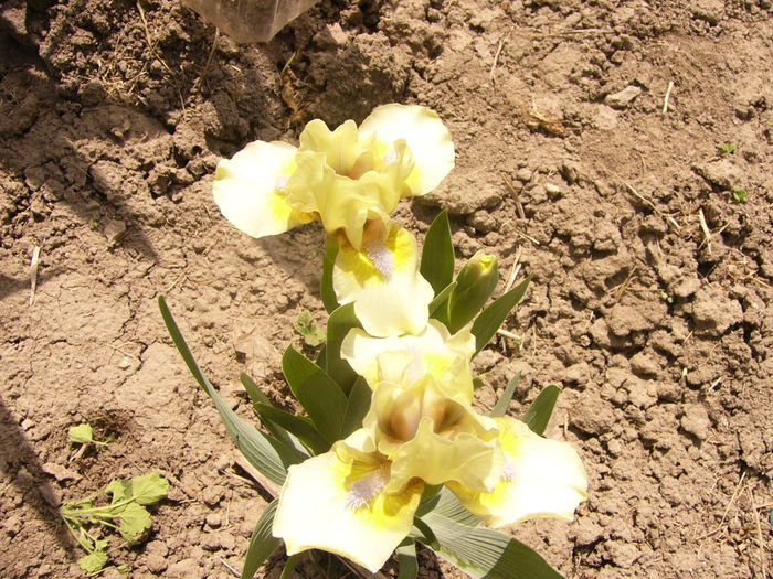 P1230241