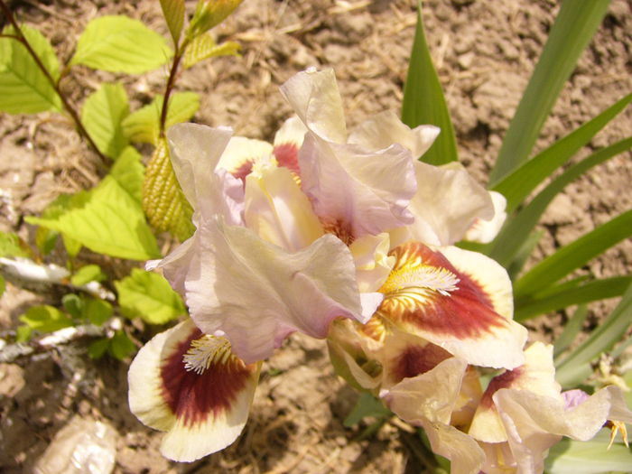 P1230244