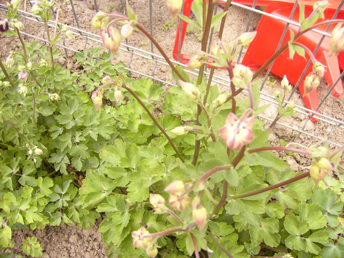 P1230260